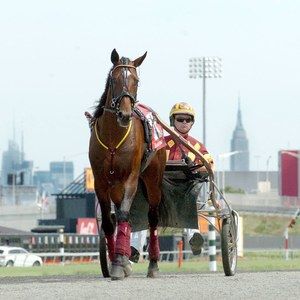 Meet your Posher, Greg